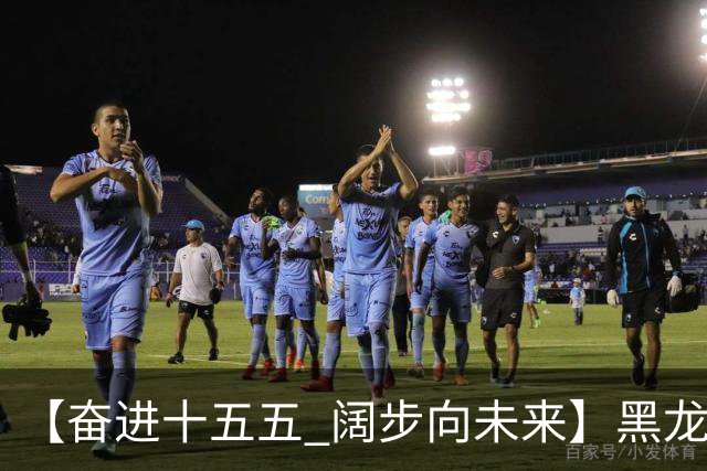 【奋进十五五 阔步向未来】黑龙江农机产业正加速迈向高端化智能化绿色化
