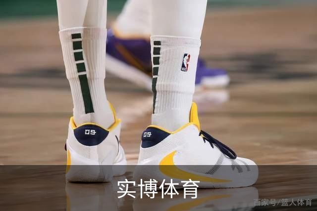 实博体育公司简介